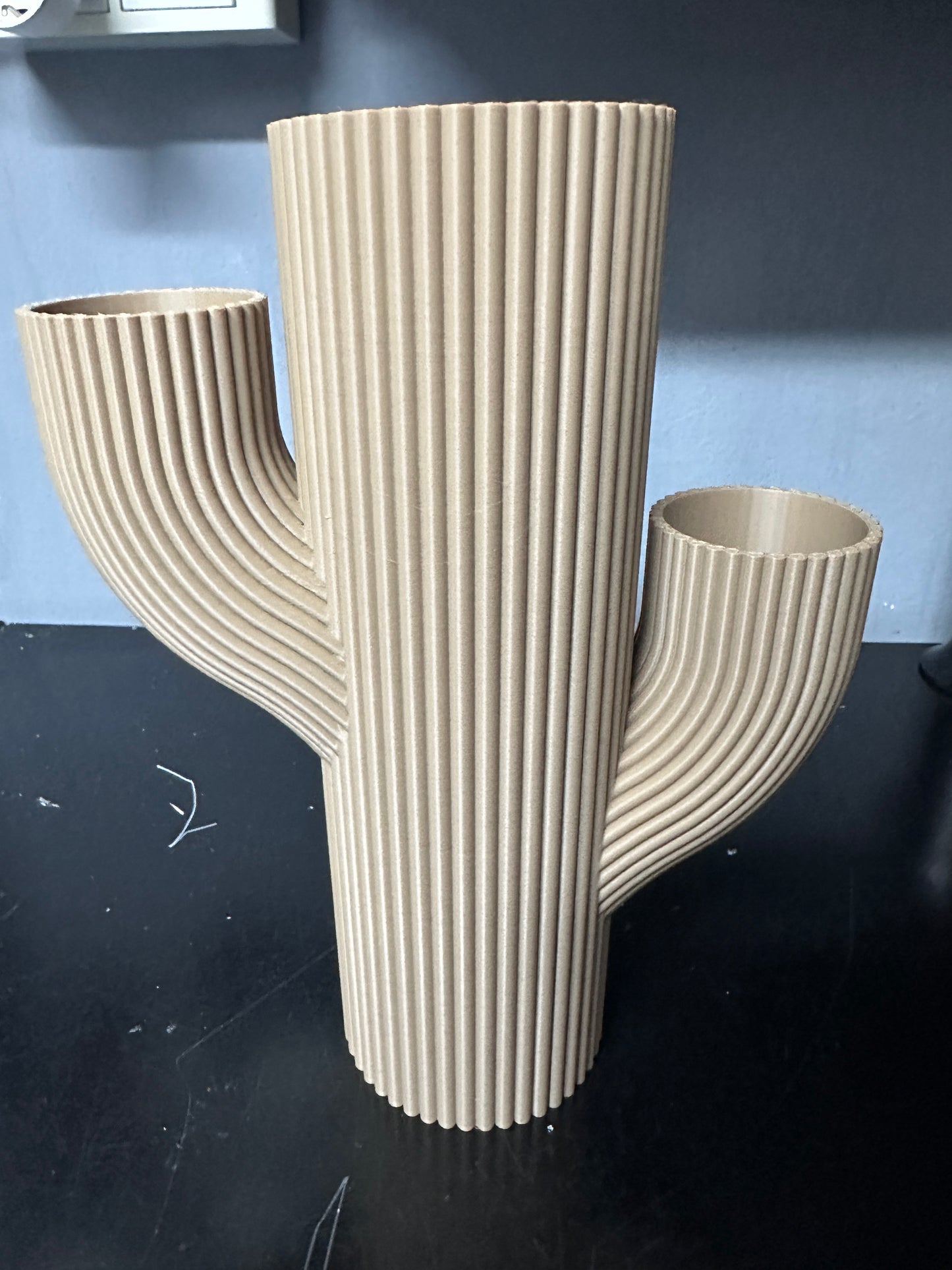 Vaso Stile CACTUS