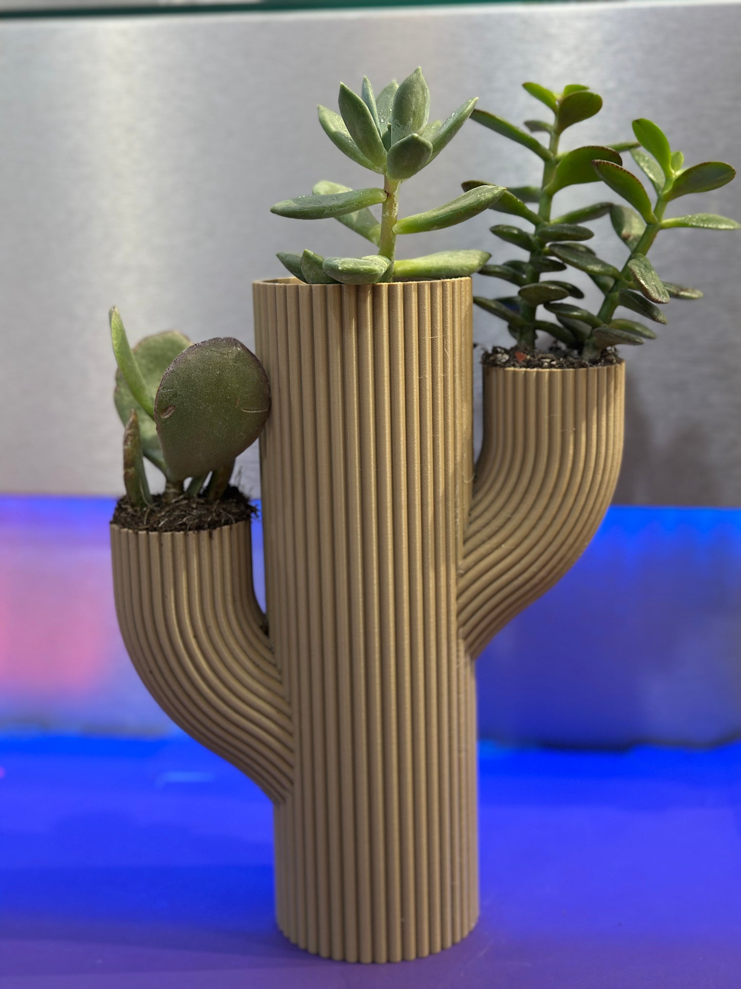 Vaso Stile CACTUS