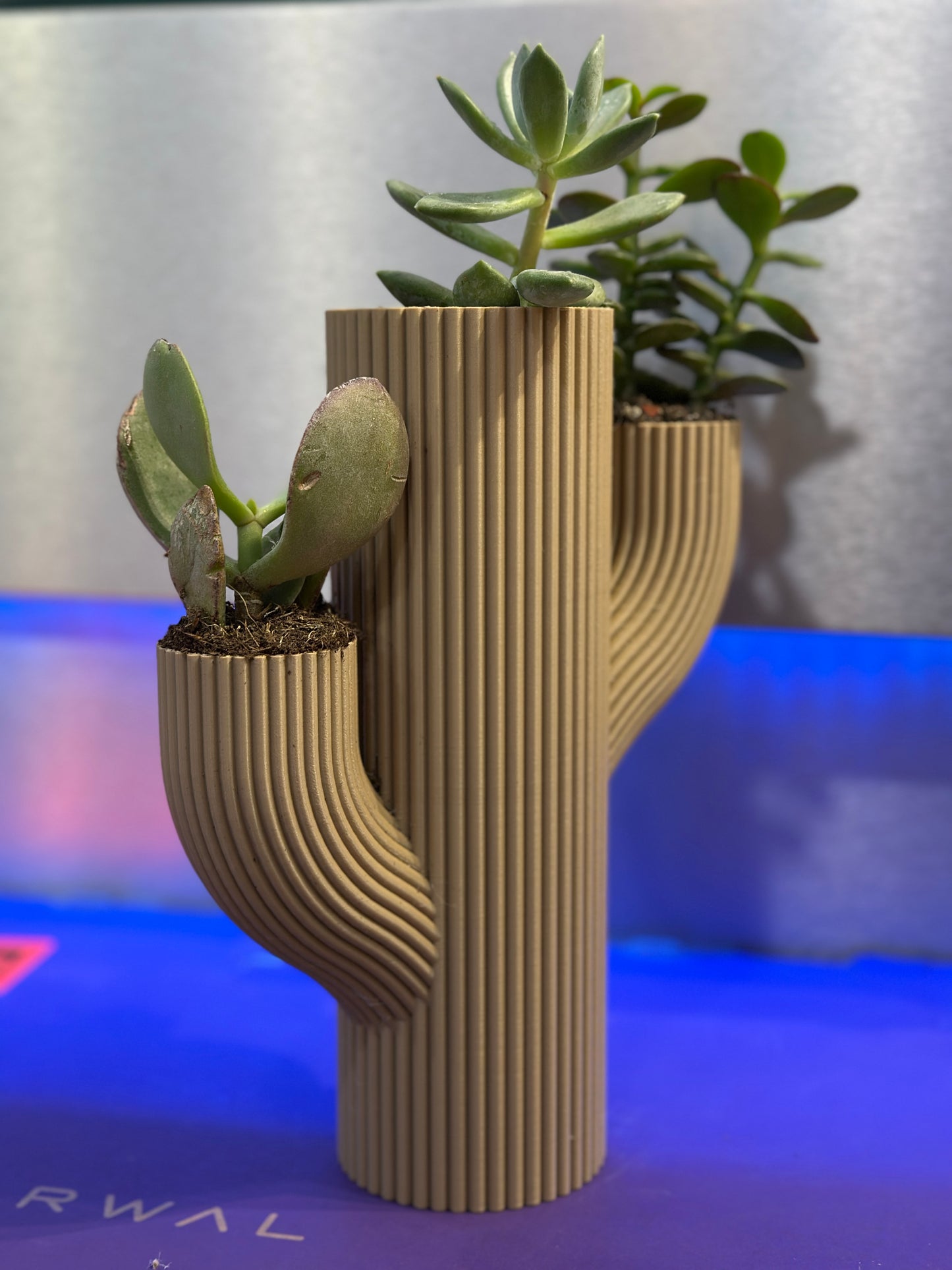 Vaso Stile CACTUS