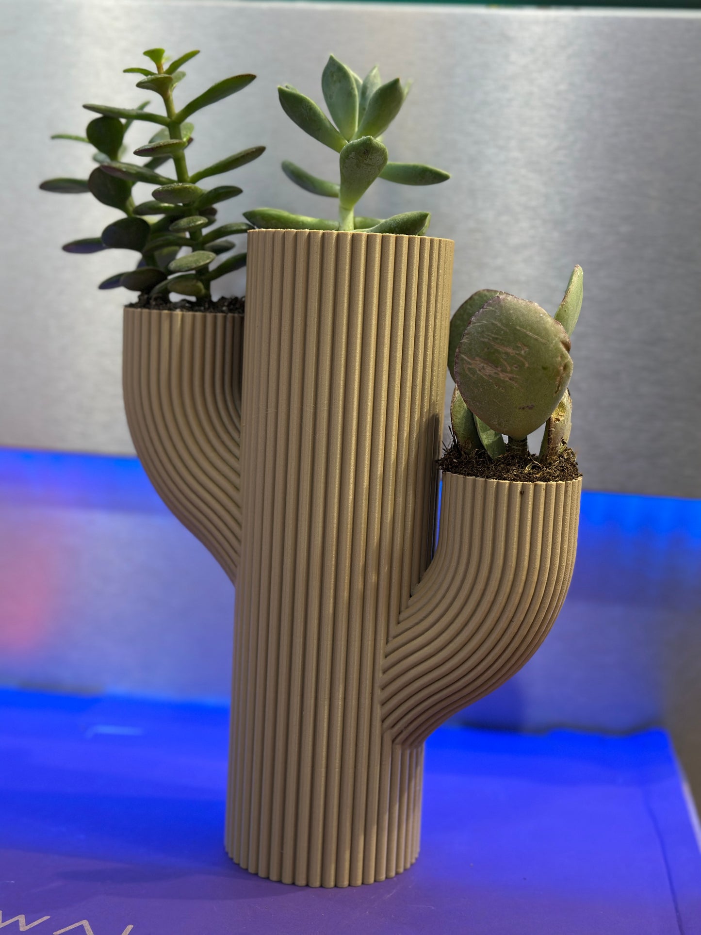 Vaso Stile CACTUS