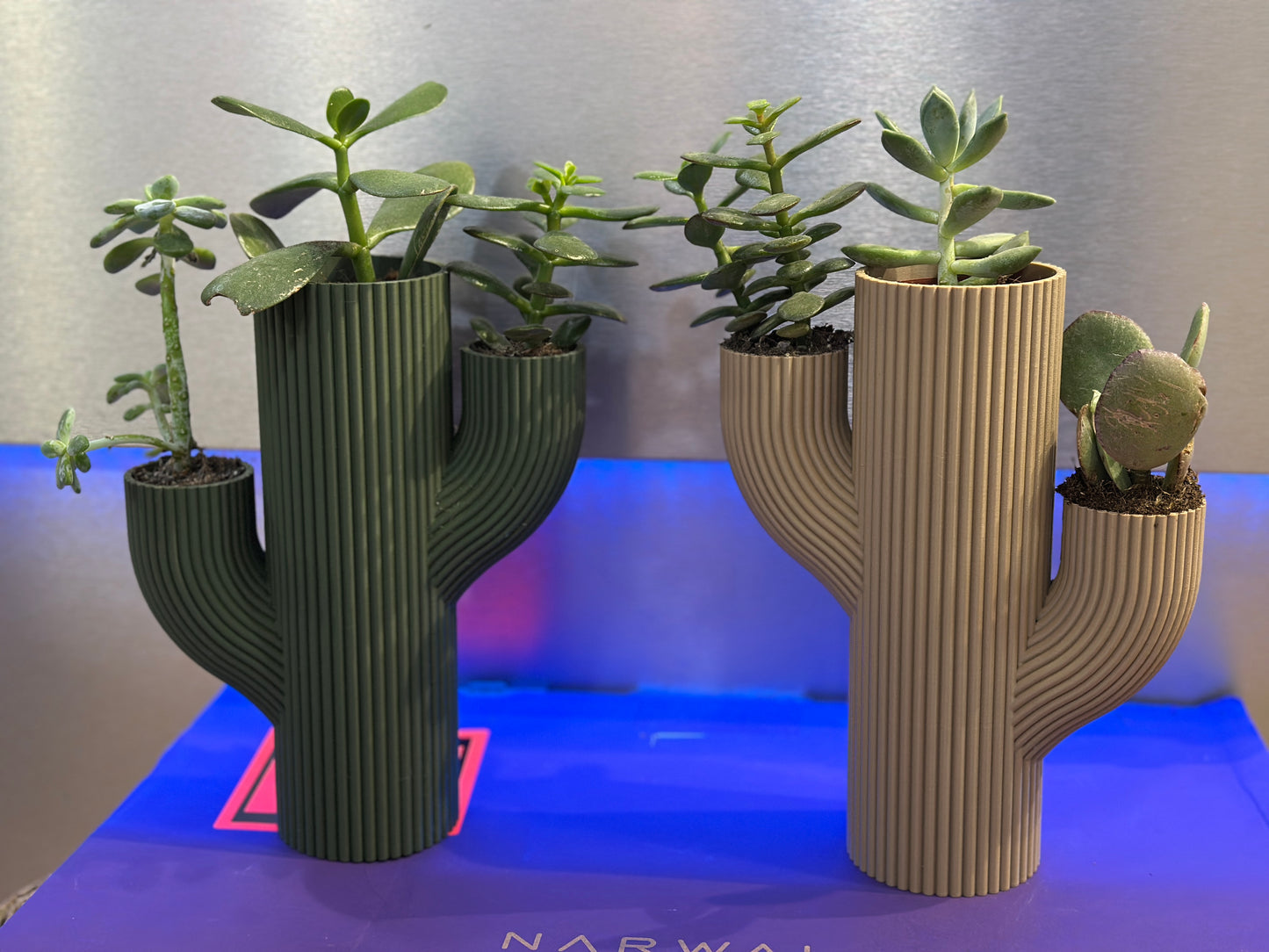 Vaso Stile CACTUS
