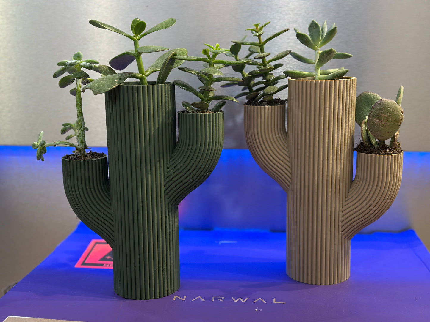 Vaso Stile CACTUS