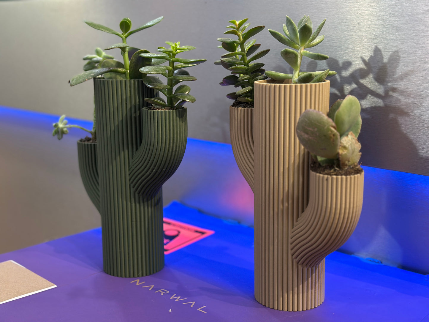 Vaso Stile CACTUS