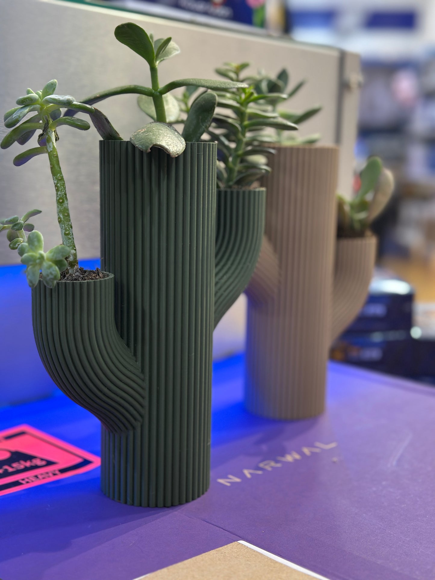 Vaso Stile CACTUS