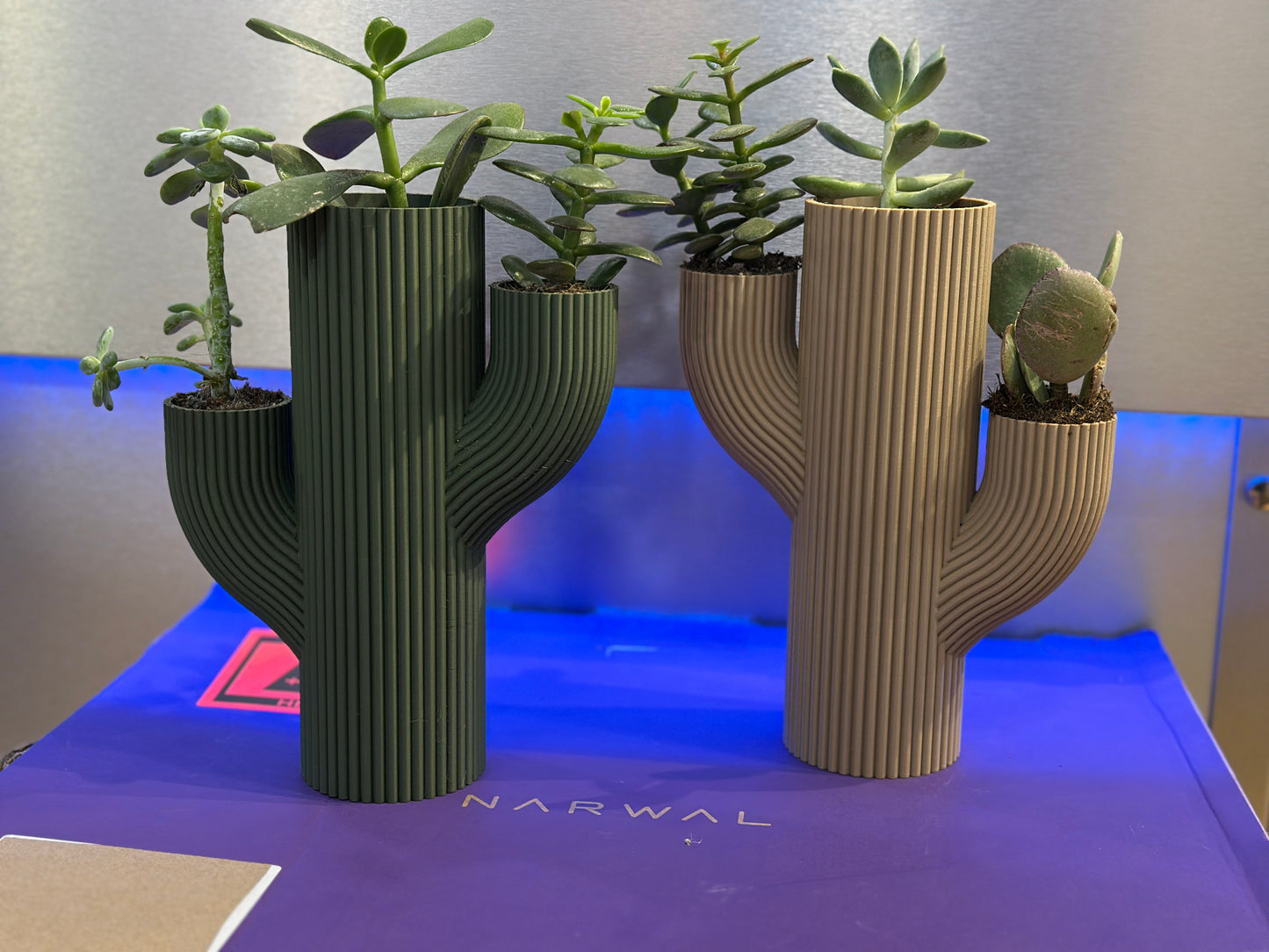 Vaso Stile CACTUS